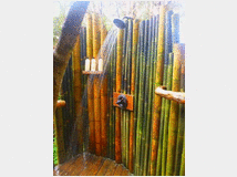 Canne di bamb  bamboo da 1 a 10 cm.diametro